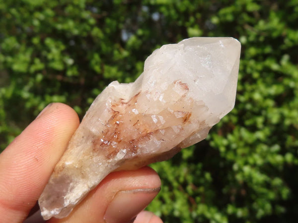 Natural Single Pineapple Candle Quartz Crystals  x 35 From Antsirabe, Madagascar - Toprock Gemstones and Minerals 
