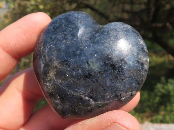 Polished XX Rare Iolite Water Sapphire Hearts  x 12 From Madagascar - TopRock