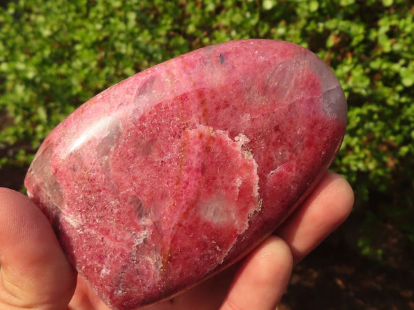 Polished Pink Rhodonite Standing Free Forms  x 6 From Madagascar - Toprock Gemstones and Minerals 