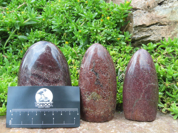 Polished Pyrope Garnet Standing Free Forms (Hard as Hell) x 3 From Madagascar - TopRock