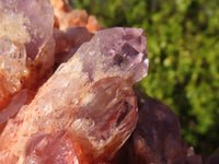 Natural Sugar Amethyst Clusters  x 2 From Zambia - Toprock Gemstones and Minerals 