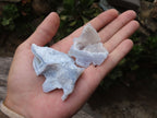 Natural Etched Blue Chalcedony Specimens  x 35 From Malawi - TopRock