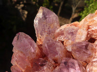 Natural Sugar Amethyst Clusters  x 2 From Zambia - Toprock Gemstones and Minerals 