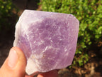 Natural Single Jacaranda Amethyst Crystals  x 12 From Zambia - Toprock Gemstones and Minerals 
