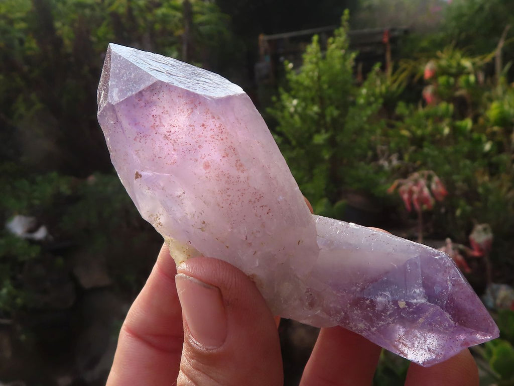 Natural Single Jacaranda Amethyst Crystals  x 12 From Zambia - Toprock Gemstones and Minerals 