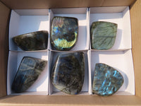 Polished Labradorite Standing Free Forms  x 6 From Tulear, Madagascar - Toprock Gemstones and Minerals 