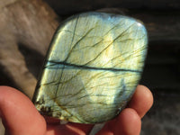 Polished Labradorite Standing Free Forms  x 6 From Tulear, Madagascar - Toprock Gemstones and Minerals 