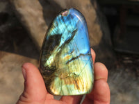 Polished Labradorite Standing Free Forms  x 6 From Tulear, Madagascar - Toprock Gemstones and Minerals 
