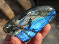 Polished Labradorite Standing Free Forms  x 6 From Tulear, Madagascar - Toprock Gemstones and Minerals 