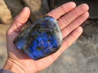 Polished Labradorite Standing Free Forms  x 6 From Tulear, Madagascar - Toprock Gemstones and Minerals 