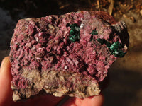 Natural Pink Salrose Cobaltion Dolomite Specimens x 6 From Kakanda, Congo - Toprock Gemstones and Minerals 