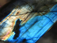 Polished Labradorite Standing Free Forms  x 6 From Tulear, Madagascar - Toprock Gemstones and Minerals 