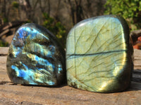 Polished Labradorite Standing Free Forms  x 6 From Tulear, Madagascar - Toprock Gemstones and Minerals 