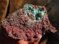 Natural Pink Salrose Cobaltion Dolomite Specimens x 6 From Kakanda, Congo - Toprock Gemstones and Minerals 