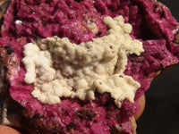 Natural Pink Salrose Cobaltion Dolomite Specimens x 6 From Kakanda, Congo - Toprock Gemstones and Minerals 