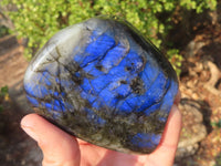 Polished Labradorite Standing Free Forms  x 6 From Tulear, Madagascar - Toprock Gemstones and Minerals 