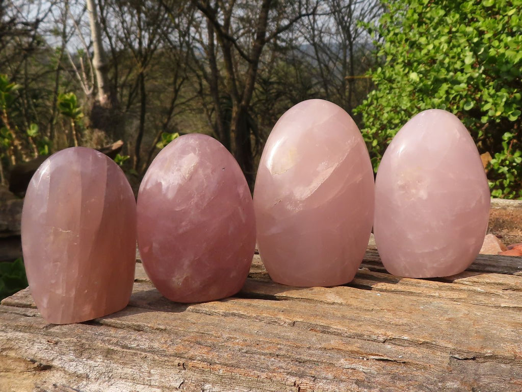 Polished Gemmy Pink Rose Quartz Standing Free Forms x 4 From Madagascar - Toprock Gemstones and Minerals 