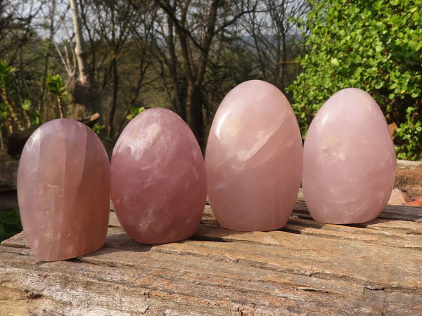 Polished Gemmy Pink Rose Quartz Standing Free Forms x 4 From Madagascar