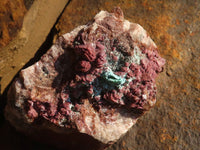 Natural Pink Salrose Cobaltion Dolomite Specimens x 6 From Kakanda, Congo - Toprock Gemstones and Minerals 