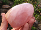 Polished Gemmy Pink Rose Quartz Standing Free Forms x 4 From Madagascar - Toprock Gemstones and Minerals 