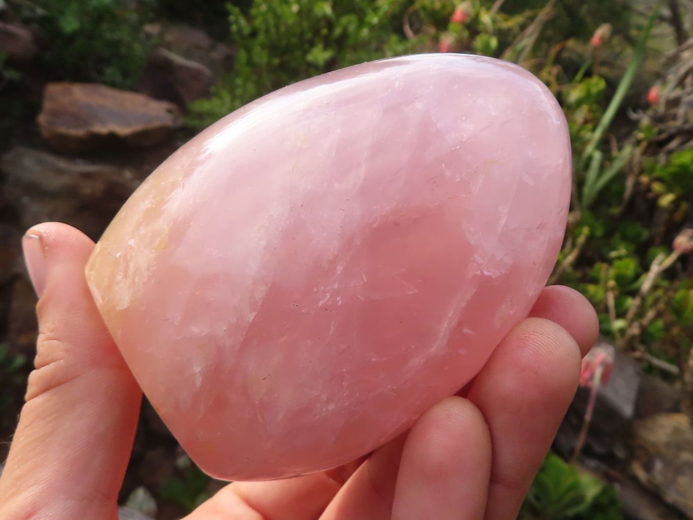 Polished Gemmy Pink Rose Quartz Standing Free Forms x 4 From Madagascar - Toprock Gemstones and Minerals 