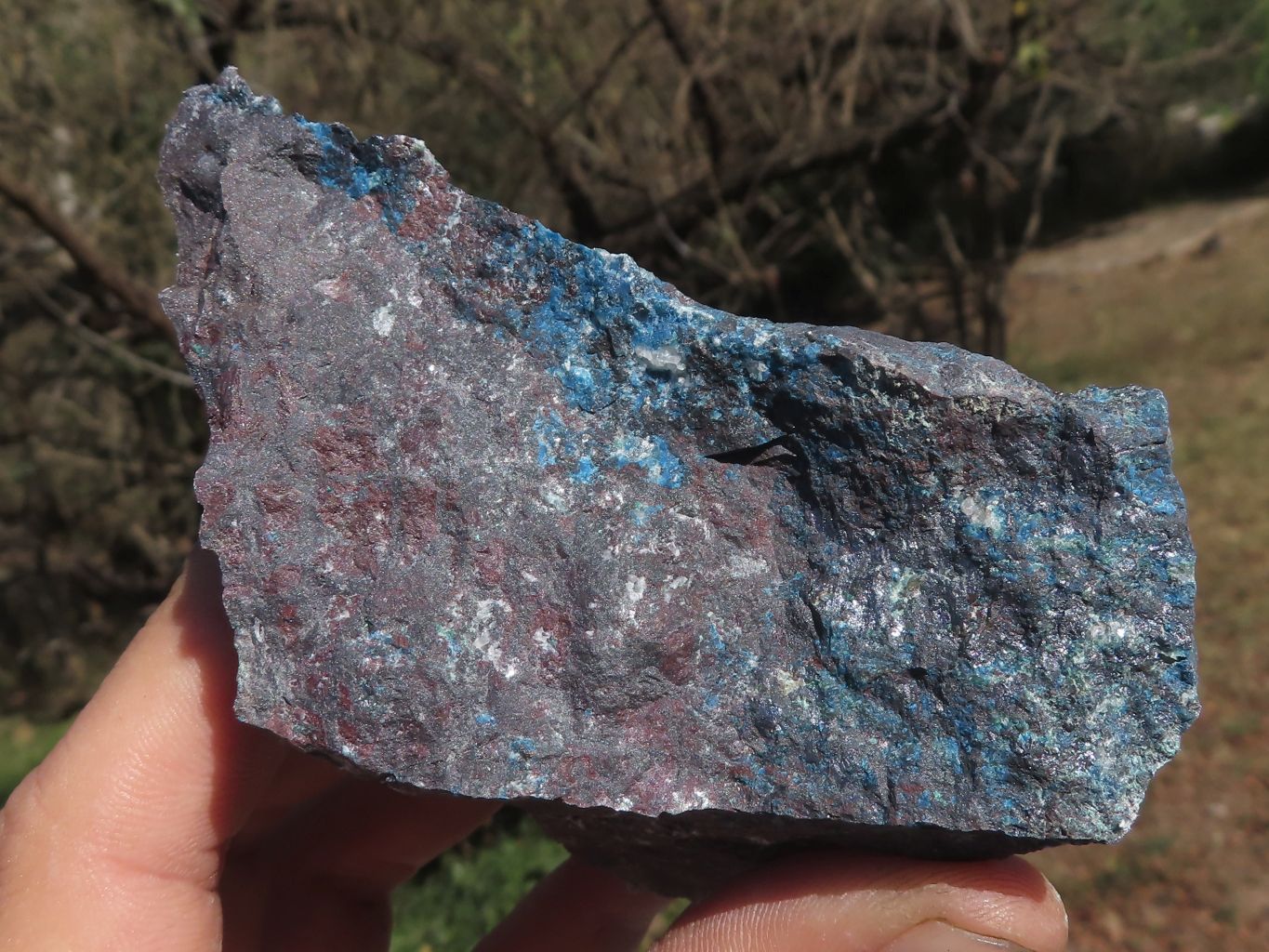 Natural Rough Blue Shattuckite Specimens  x 12 From Namibia - TopRock