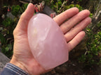 Polished Gemmy Pink Rose Quartz Standing Free Forms x 4 From Madagascar - Toprock Gemstones and Minerals 