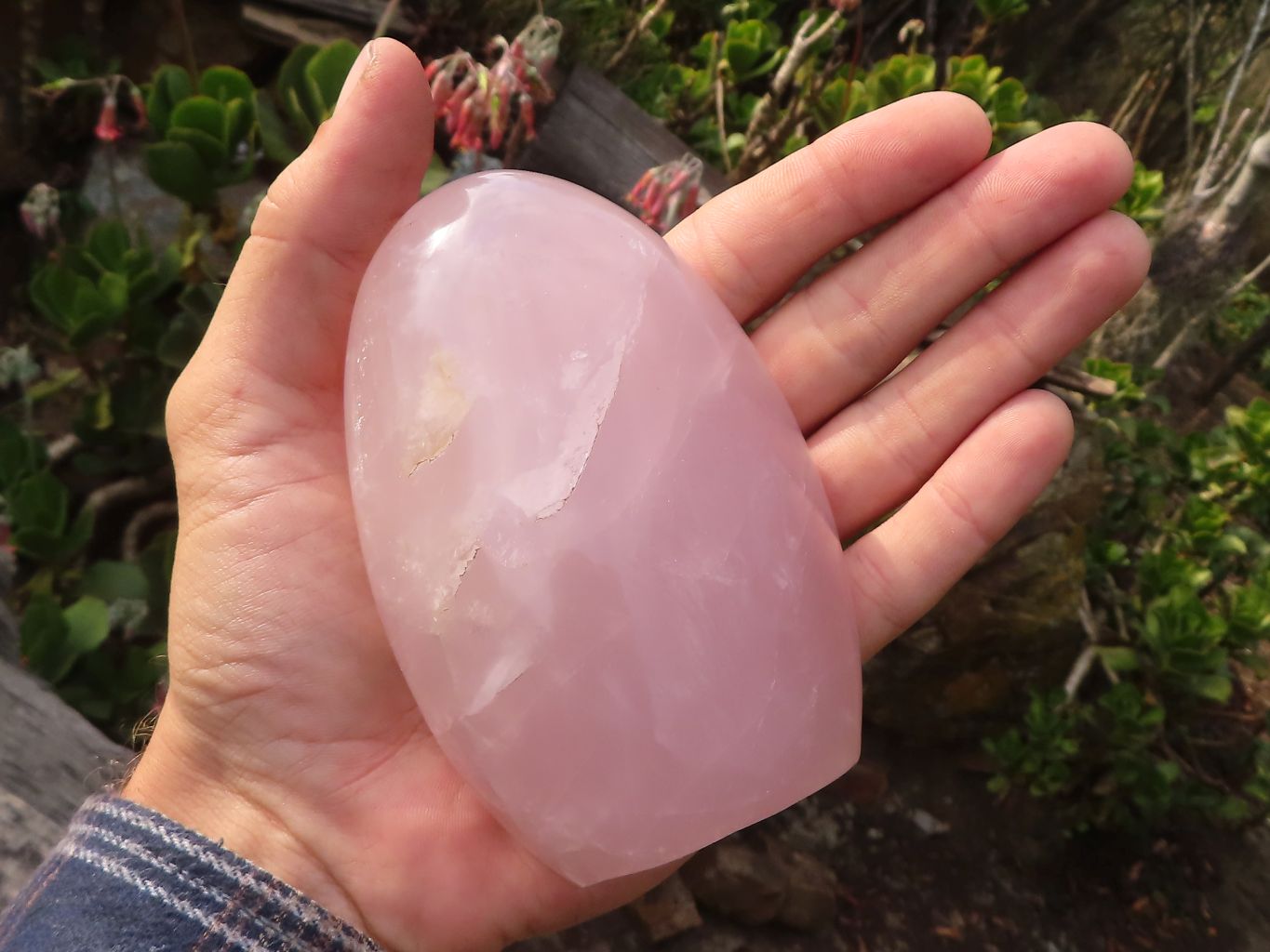 Polished Gemmy Pink Rose Quartz Standing Free Forms x 4 From Madagascar - Toprock Gemstones and Minerals 