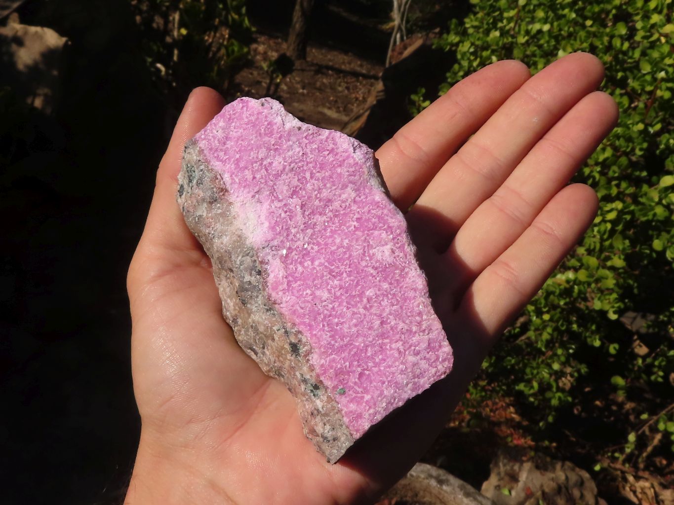Natural Pink Salrose Cobaltion Dolomite Specimens  x 6 From Kakanda, Congo - Toprock Gemstones and Minerals 
