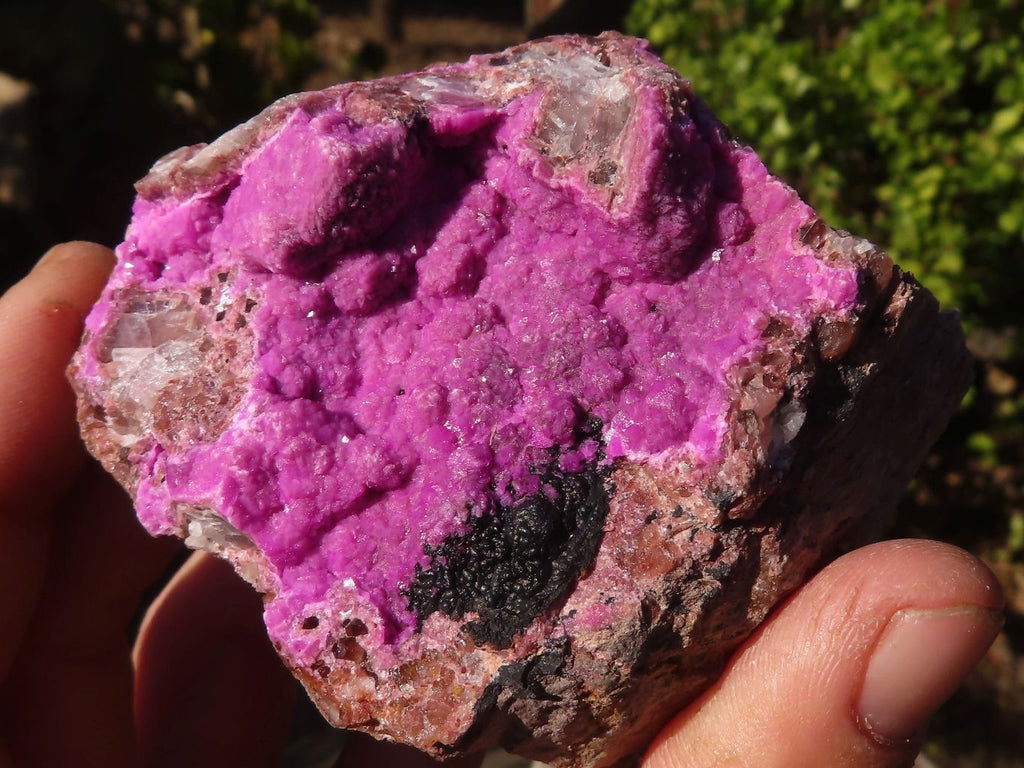 Natural Pink Salrose Cobaltion Dolomite Specimens  x 6 From Kakanda, Congo - Toprock Gemstones and Minerals 