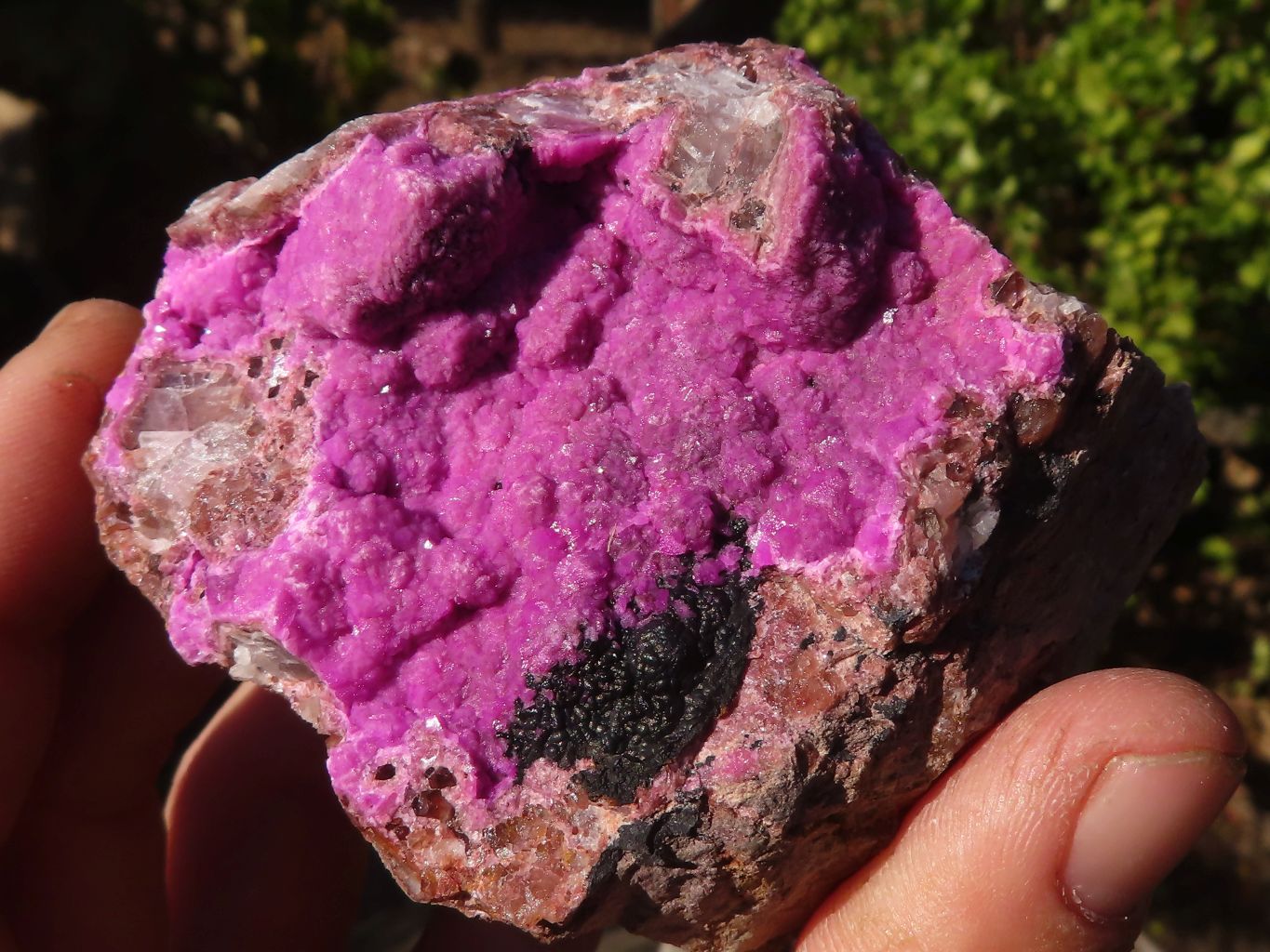 Natural Pink Salrose Cobaltion Dolomite Specimens  x 6 From Kakanda, Congo - Toprock Gemstones and Minerals 