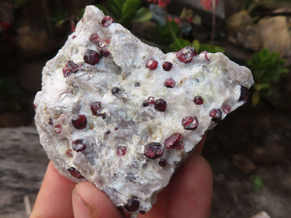 Natural Red Pyrope Garnet Crystals In Matrix Specimens  x 12 From Karibib, Namibia - Toprock Gemstones and Minerals 