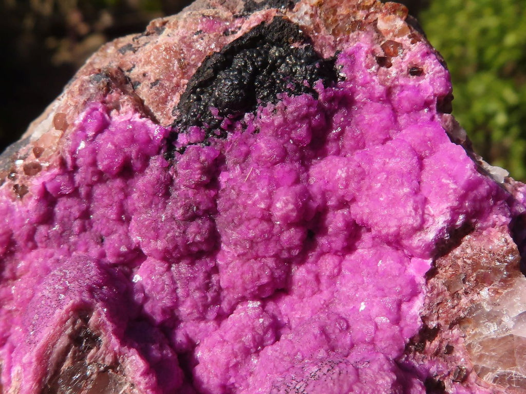 Natural Pink Salrose Cobaltion Dolomite Specimens  x 6 From Kakanda, Congo - Toprock Gemstones and Minerals 