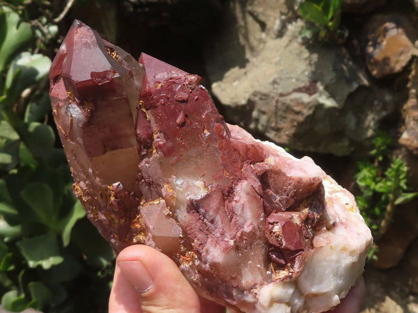 Natural Red Hematoid Quartz Crystals  x 4 From Karoi, Zimbabwe - TopRock