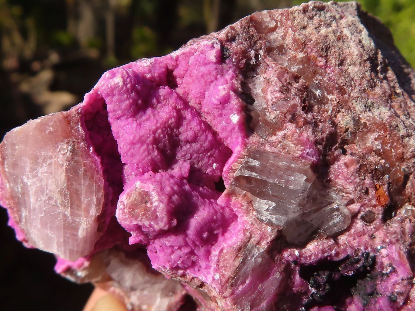 Natural Pink Salrose Cobaltion Dolomite Specimens  x 6 From Kakanda, Congo - Toprock Gemstones and Minerals 