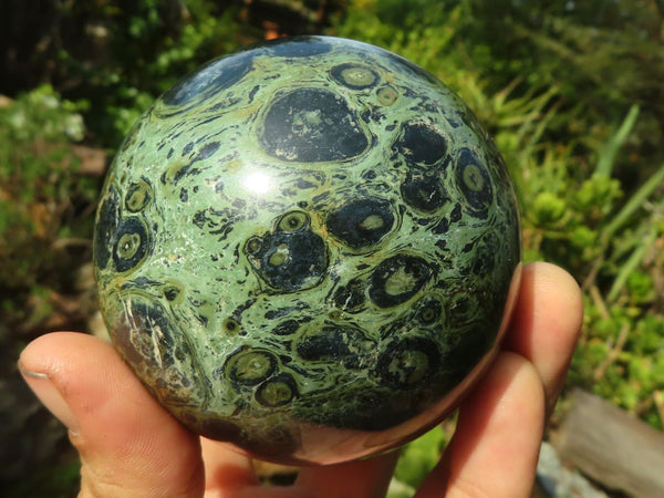 Polished Stromatolite / Kambamba Jasper Spheres  x 2 From Madagascar - Toprock Gemstones and Minerals 