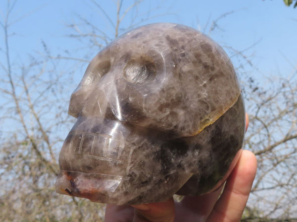 Polished Morion Smokey Quartz Skull Carving x 1 From Madagascar - TopRock
