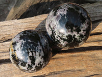 Polished Merlinite Gabbro Spheres  x 2 From Madagascar - Toprock Gemstones and Minerals 