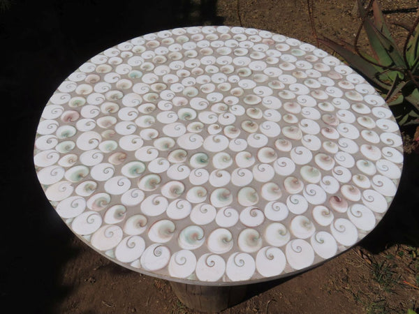 Polished Extra Large Fossil Shell Table Top x 1 From Madagascar - TopRock