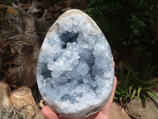 Polished Blue Celestite Crystal Egg Geode  x 1 From Madagascar - TopRock