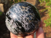 Polished Merlinite Gabbro Spheres  x 2 From Madagascar - Toprock Gemstones and Minerals 