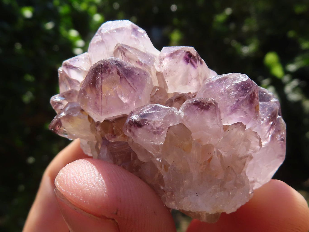 Natural Mixed Spirit Quartz Clusters  x 35 From Boekenhouthoek, South Africa - TopRock