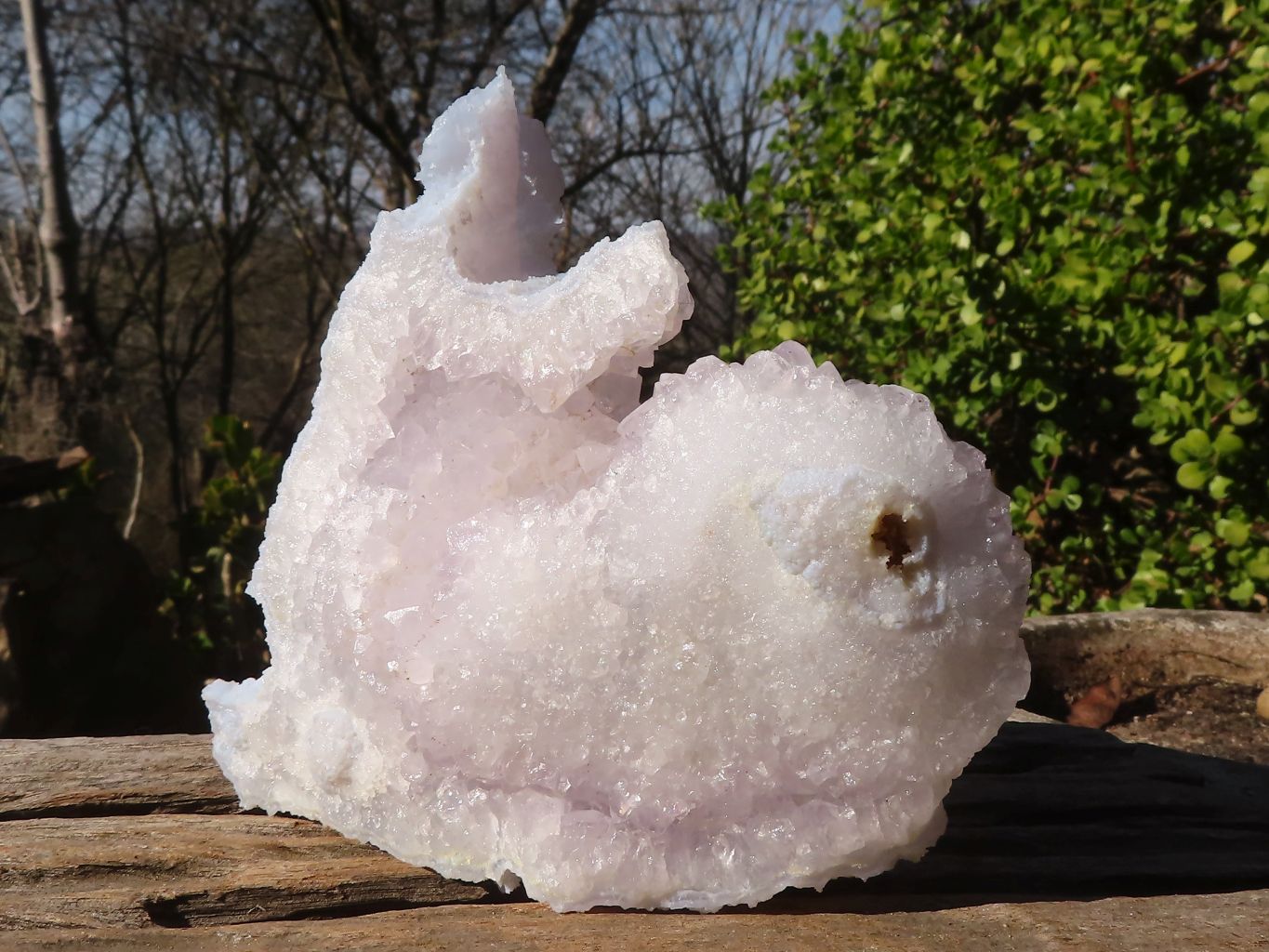 Natural Etched Blue Chalcedony Specimens  x 12 From Nsanje, Malawi - Toprock Gemstones and Minerals 