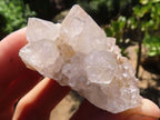 Natural Mixed Spirit Quartz Clusters  x 35 From Boekenhouthoek, South Africa - TopRock