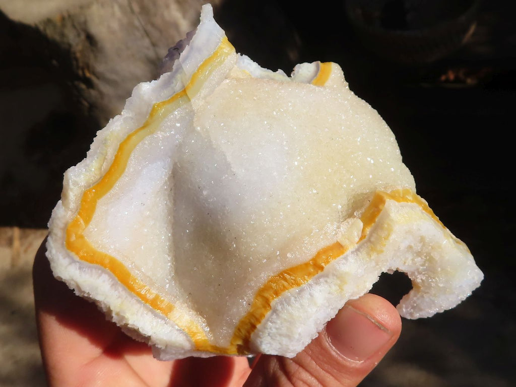 Natural Etched Blue Chalcedony Specimens  x 12 From Nsanje, Malawi - Toprock Gemstones and Minerals 