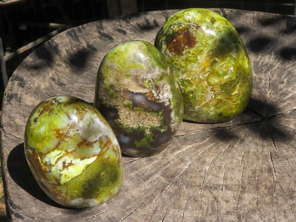 Polished Green Opal Standing Free Forms  x 5 From Antsirabe, Madagascar - TopRock
