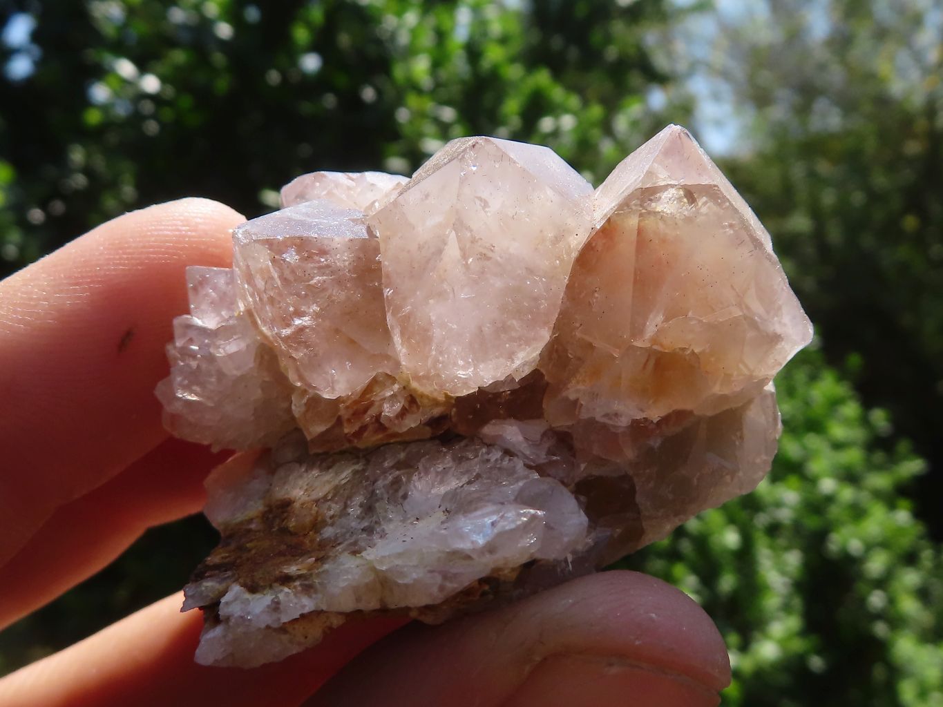 Natural Mixed Spirit Quartz Clusters  x 35 From Boekenhouthoek, South Africa - TopRock