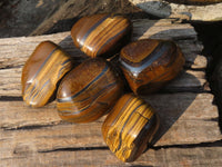 Polished Golden Tigers Eye Free Forms x 5 From Prieska, Northern Cape