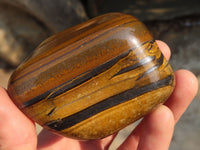 Polished Golden Tigers Eye Free Forms x 5 From Prieska, Northern Cape