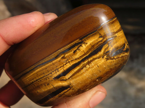 Polished Golden Tigers Eye Free Forms x 5 From Prieska, Northern Cape